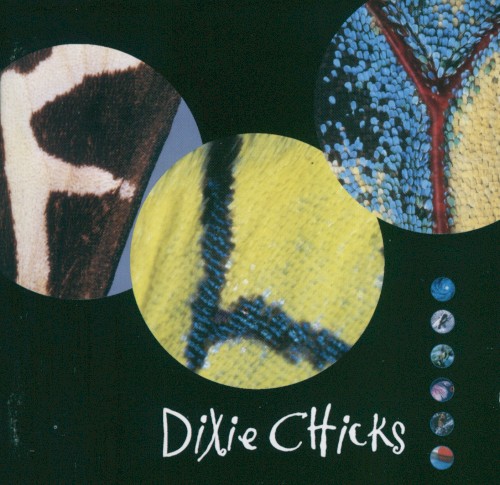 Dixie Chicks — Fly cover art
